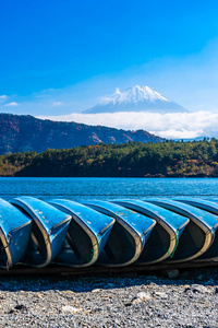 秋季环湖枫叶树的富士山美景