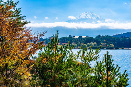 秋季环湖枫叶树的富士山美景