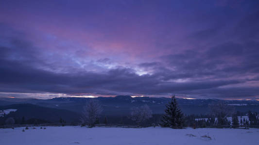 冬天，有树，有深紫色的天空