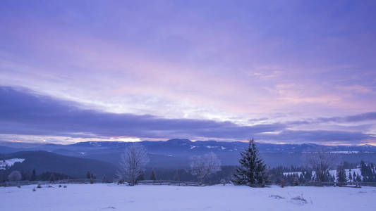 冬天在山上，紫色的天空和树木在滑雪场自然摄影