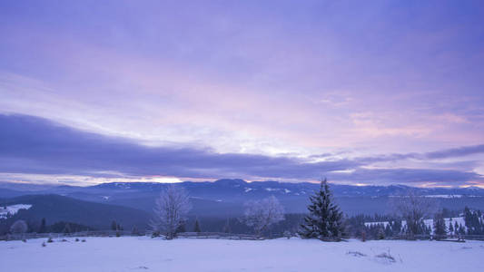 清晨，紫罗兰色的天空和树木，大自然的摄影，冬天，群山