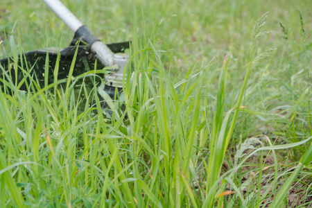去剪草. 草割草机. 剪草坪. 那个人剪了一块草坪.照片