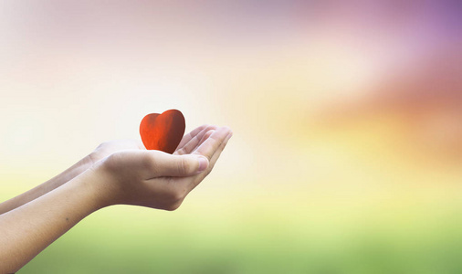 国际人类团结日概念:双手捧红心健康保险国际生物多样