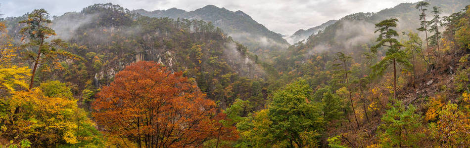 日本乡间小路上山上雾的美丽秋天全景