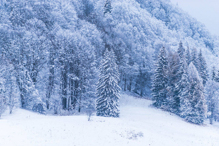 观赏雪山冬季自然景观。