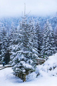 观赏雪山冬季自然景观。