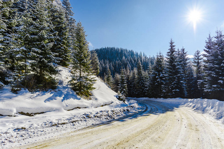 白雪覆盖的森林里的道路