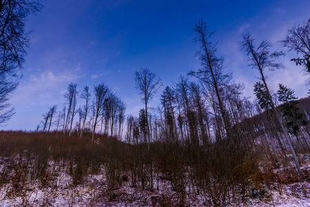 观赏雪山冬季自然景观。