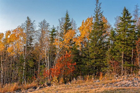 秋天的景观从山顶到日落时五颜六色的秋林。 乌拉尔山脉。
