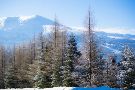 雪山冬季景观。