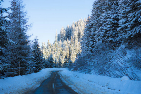 雪覆盖森林的湿沥青路