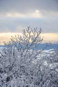 雪山冬季景观。