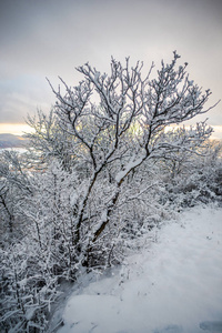 雪山冬季景观。