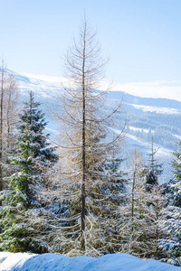 雪山冬季景观。