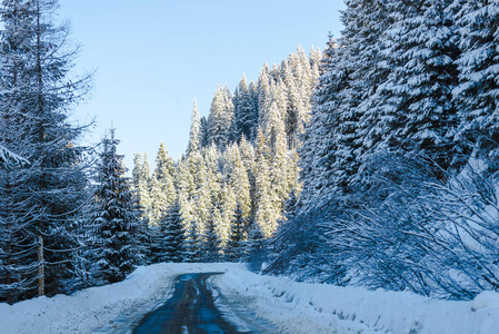 白雪覆盖的山脉森林和柏油路