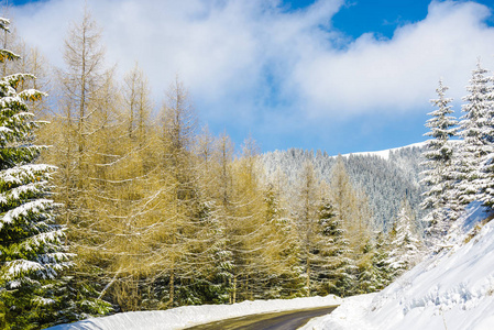 白雪覆盖的山脉森林和柏油路