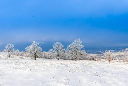 雪覆盖着乡村的风景，树木和蓝天