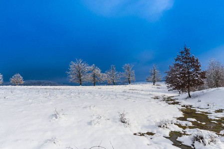 白雪覆盖的乡村景观，有树木，白天有蓝天