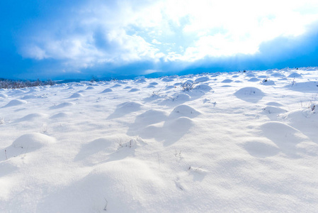 雪覆盖了农村景观领域