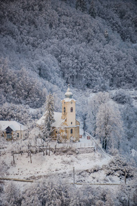 雪覆盖的树木和景观与教堂在阿尔卑斯山