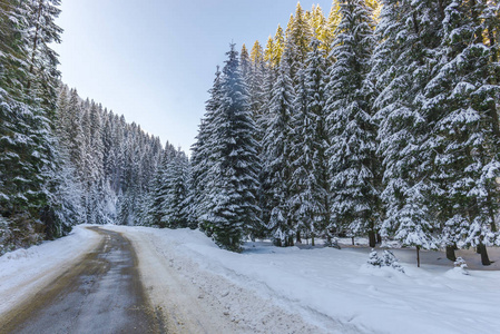 白雪覆盖的山脉森林和柏油路