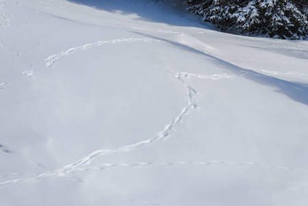 冬季雪覆盖景观全框架图像