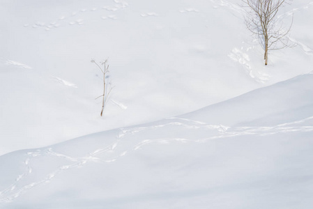 冬季雪覆盖景观全框架图像
