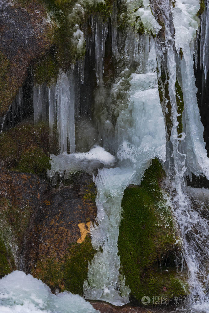 早春森林冻溪近景