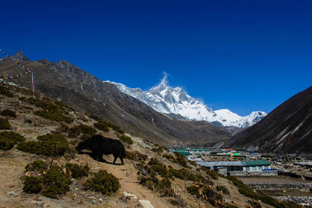 在尼泊尔喜马拉雅山徒步旅行