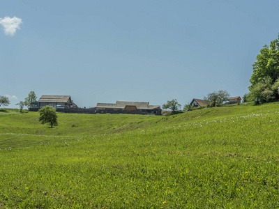 传统的斯洛文尼亚农场，绿色草地之间几乎没有房子。