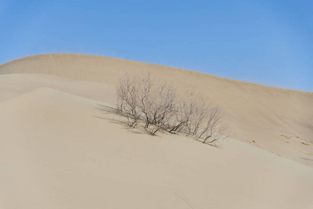 白天的沙漠景观