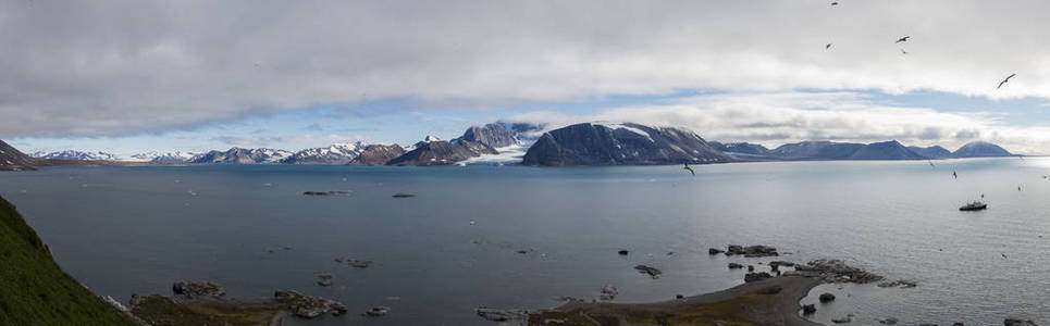 南极的鸟类和山脉景观