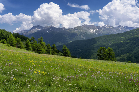 Assietta and Colle delle Finestre, Turin, Piedmont, italy, at su