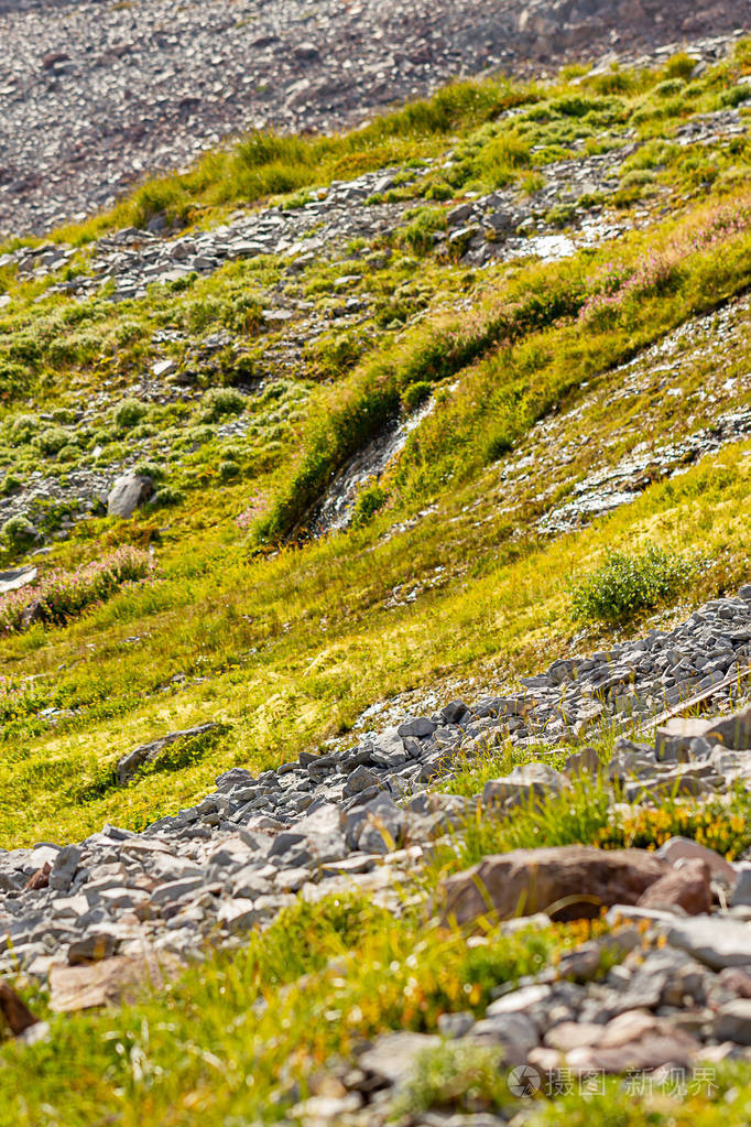 岩石土壤与绿草和苔藓在夏天