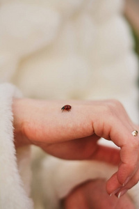 s finger white coat bride