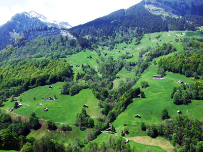 瑞士圣加伦州维斯坦南塔尔山谷的池塘和山丘
