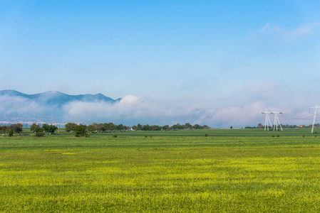 美丽的春天景观