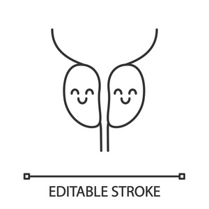 微笑前列腺线性矢量图标