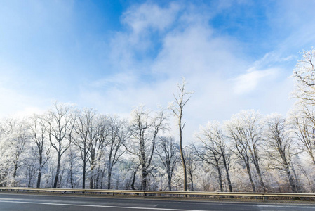 农村和道路树木上的霜冻图片