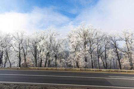 农村和道路树木上的霜冻