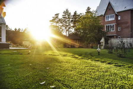 生活好物背景图图片