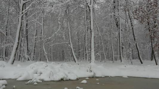 概念冬季美。 硬木。 裸露的树木覆盖着雪。 冰霜清新