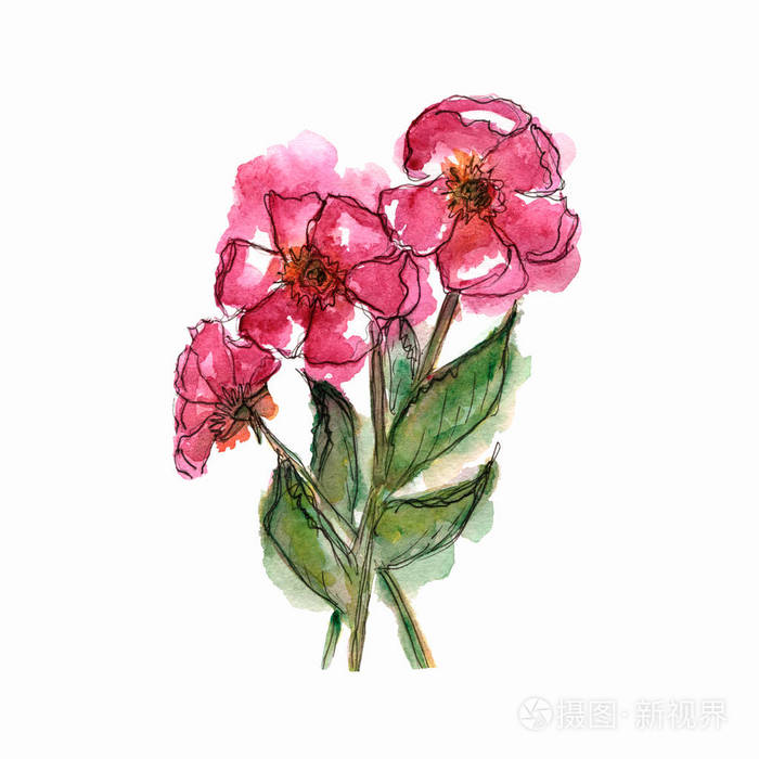 水彩花 贺卡 结婚邀请 花卡 粉红色的春花 结婚花束 水彩花卉艺术绘画为您的设计 婚礼或贺卡的植物学构图 白色背景照片 正版商用图片15tt36 摄图新视界 水彩花 贺卡 结婚邀请 花卡 粉红色的春花 结婚花束 水彩花卉艺术绘画为您的设计 婚礼或贺卡的植物学构图 白色背景照片 正版商用图片15tt36 摄图新视界
