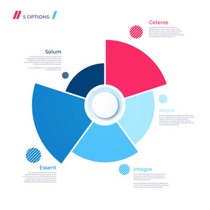 饼图概念, 包含5个部分。网络的矢量模板, 现在