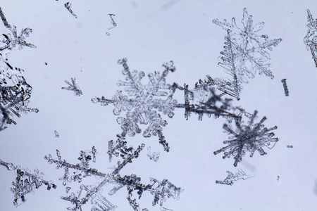 浅蓝色背景上美丽的雪花，近距离