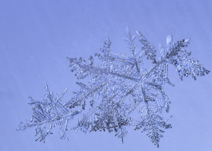 浅蓝色背景上美丽的雪花，近距离