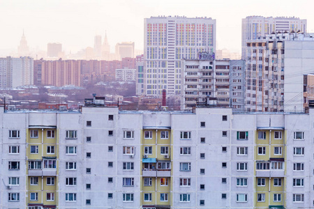 冬季住宅小区鸟图图片