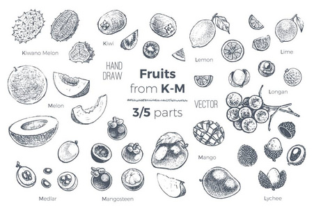果子手绘的速写图标设置。有机食品
