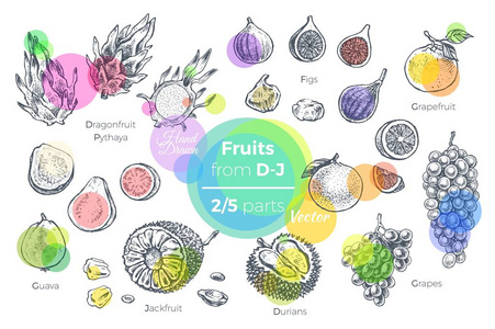 水果手绘图标设置。新鲜有机食品