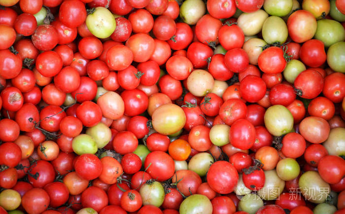红番茄藤质地背景，成熟番茄藤在市场上销售
